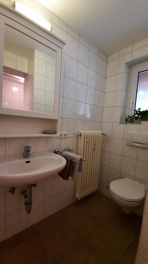 Isartaler Hoamat Haus Apartment Митенвалд Екстериор снимка